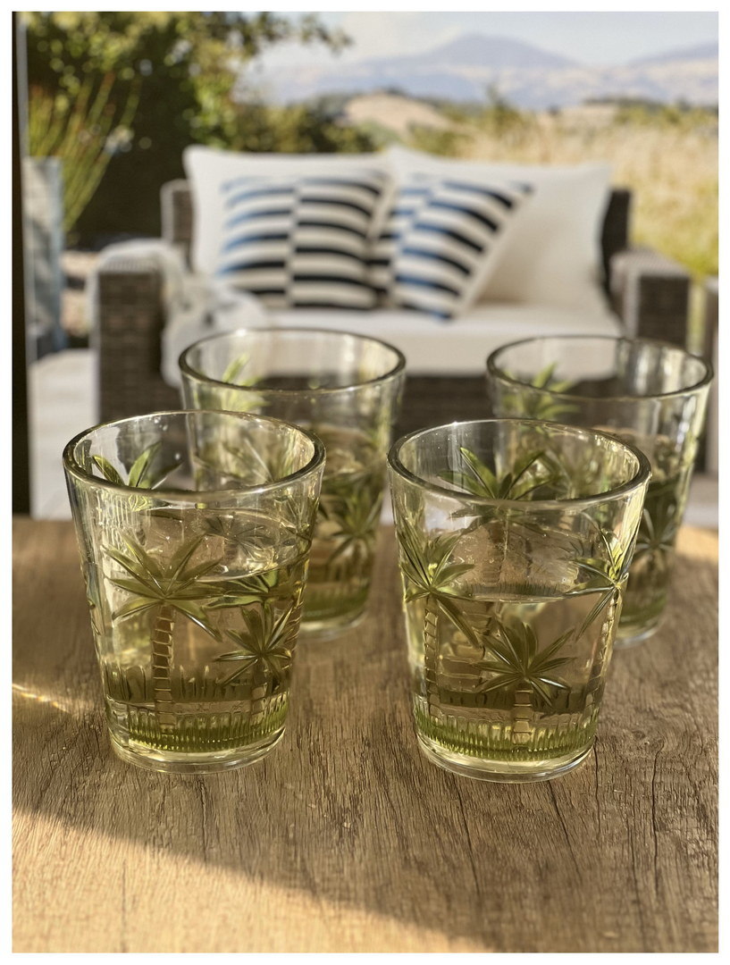 Shatterproof Acrylic DOF Tumblers (Set of 4)